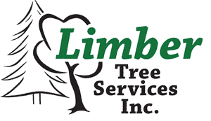 Tree Service Limber Tree